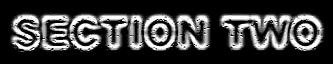 section2.jpg (6485 bytes)